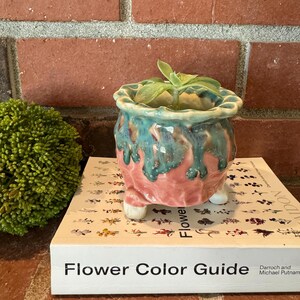 May include: A small, ceramic planter with a succulent plant. The planter is pink with turquoise and teal glaze, and has three small white feet. The planter sits on a book titled "Flower Color Guide".