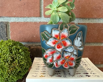 Vetplantenbak van bloemenklei: handgemaakte terracottapot met drainage