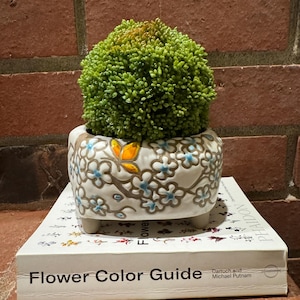 Puede incluir: Una maceta de cerámica blanca con un diseño floral y detalles azules. La maceta tiene tres patas y contiene una planta artificial verde. La maceta está sobre un libro titulado "Flower Color Guide".