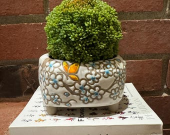 Vetplantenbak van bloemenklei met drainage: handgeschilderde terracotta pot