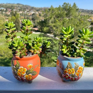 May include: Two succulent plants in colorful hand-painted ceramic pots. The pots have floral designs with yellow, orange, red, and white flowers. The pot on the left is orange and the pot on the right is blue.
