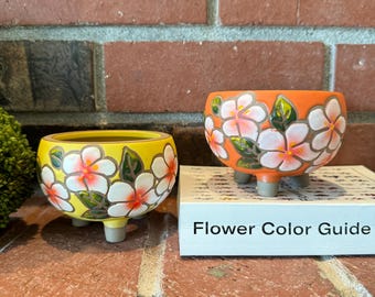 Vetplantenbak van bloemenklei: handgeschilderde terracottapot met afvoer