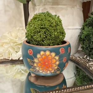 May include: A teal ceramic plant pot featuring a large orange and yellow floral design. The pot contains a spherical, green plant. The pot is reflected in a mirrored surface, creating a decorative display. The pot has small feet.
