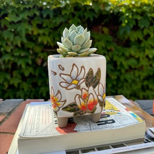Puede incluir: Maceta de cerámica blanca con diseños florales en tonos amarillos, naranjas y verdes. La maceta tiene cuatro patas y contiene una planta suculenta.
