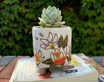 Vetplantenbak van bloemenklei: handgeschilderde terracottapot met afvoer