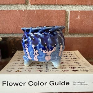 Puede incluir: Pequeña maceta de cerámica con un vibrante esmalte azul y detalles en rosa. La maceta de tres patas está sobre un libro titulado "Flower Color Guide". El diseño de la maceta presenta un patrón texturizado y moteado.