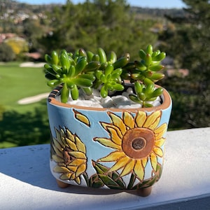 Puede incluir: Una maceta de cerámica azul claro con un diseño de girasol. La maceta tiene una forma redondeada y tres pequeños pies. Está llena de una planta suculenta.