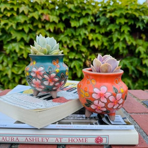 Puede incluir: Dos plantas suculentas en macetas de cerámica pintadas a mano con diseños florales. Las macetas tienen tres patas y están decoradas con flores rosas y naranjas. Las macetas están sobre una pila de libros.