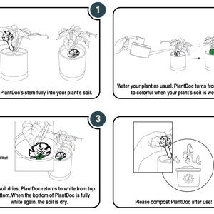 Color Change Moisture Indicator for Houseplants Biodegradable and a Great Gift for Plant Lovers PlantDoc Mini Monstera Rhaphidophora image 8