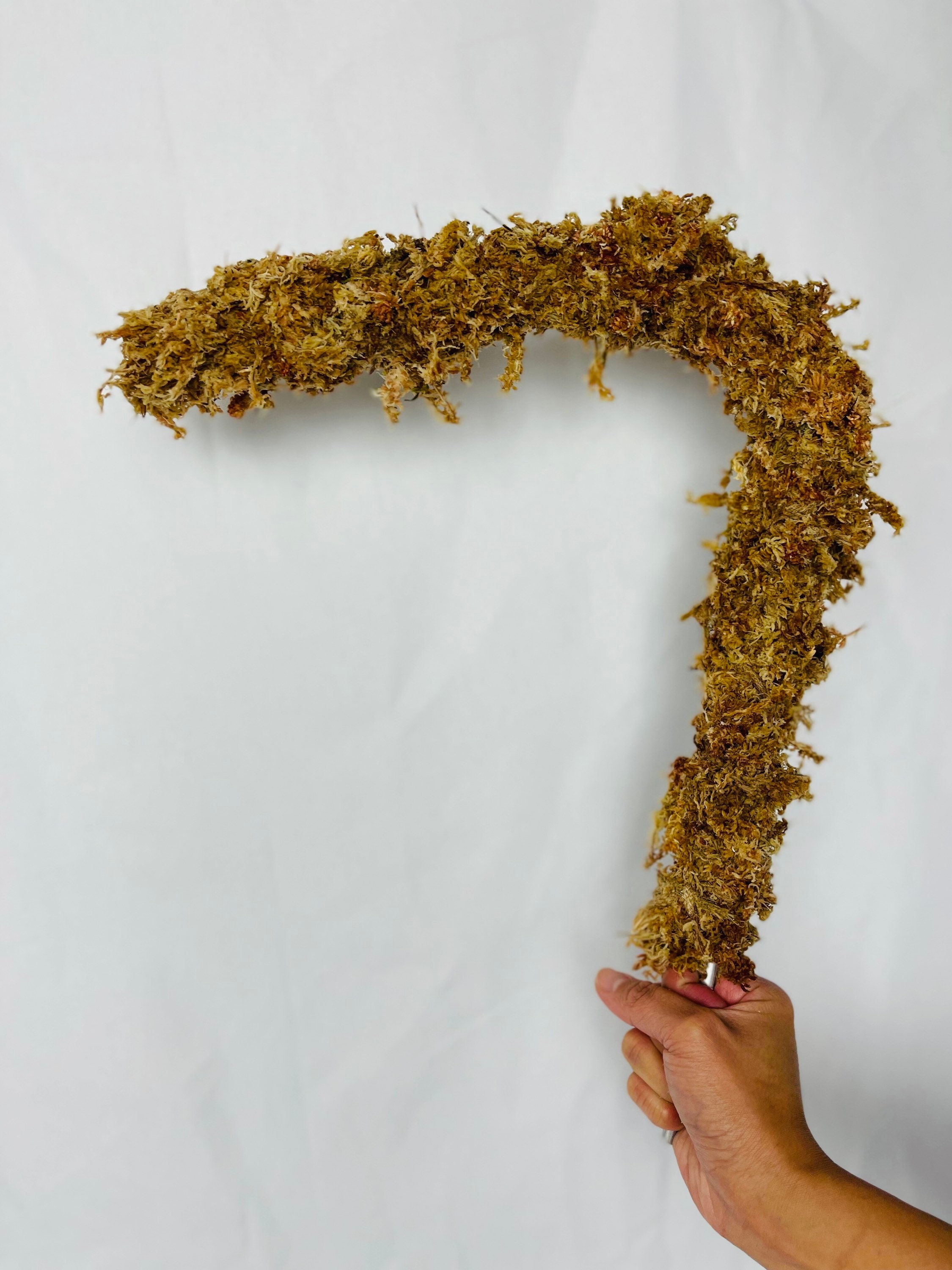 Bendy Moss Pole Bendable Climbing Pole for Trailing Plants Etsy