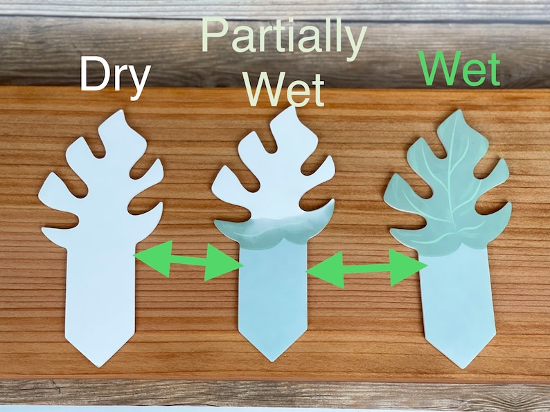 Color Change Moisture Indicator for Houseplants Biodegradable and a Great Gift for Plant Lovers PlantDoc Mini Monstera Rhaphidophora image 5