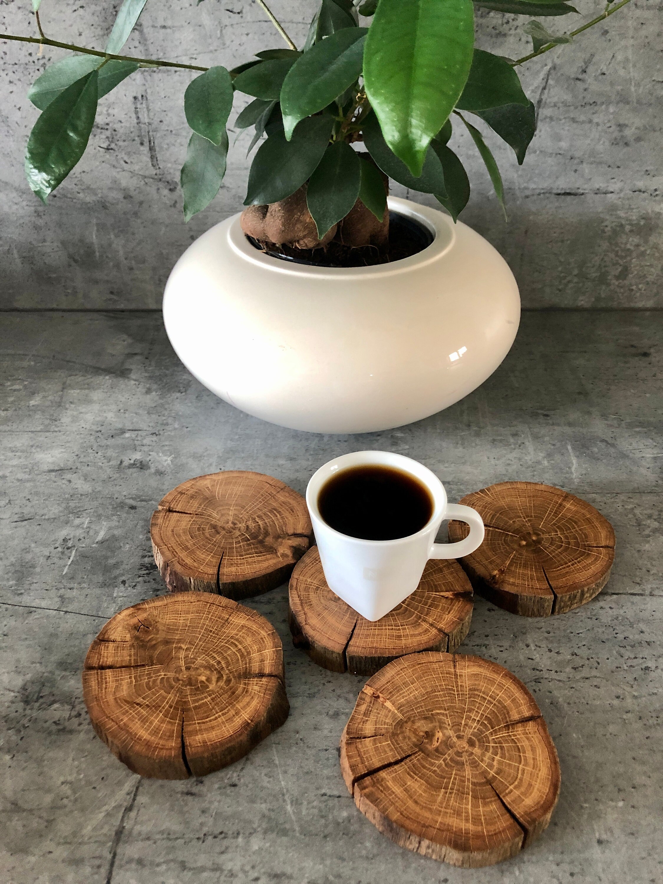 Set of 5 live edge oak coasters Etsy