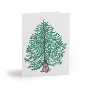 Blank Greeting Cards Set, Evergreen Tree Design, 8, 16, and 24 pcs, Stationery Gift Pack, Note Cards Variety Pack, Holiday Card Set, All