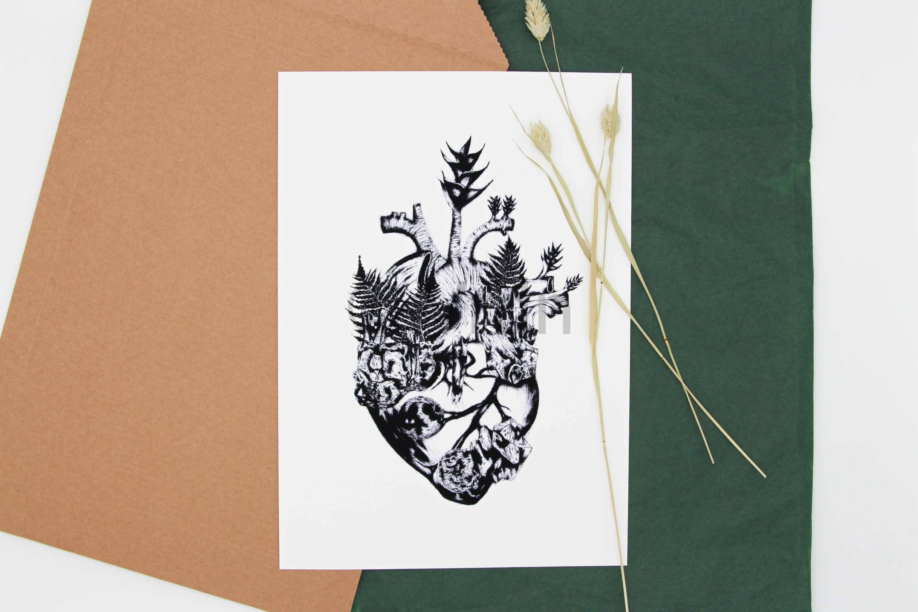 Dessin Anatomique Cœur Botanique Floral