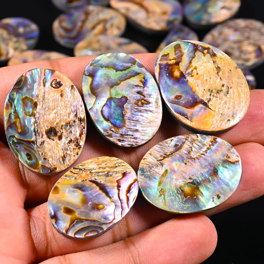 Abalone Shell Cabochons: Loose Gemstone Pendants (20x40mm)- Abalone ...
