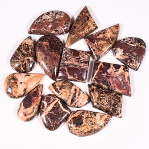 May include: A selection of polished gemstones in diverse shapes, such as teardrops, triangles, and squares. The stones exhibit a blend of brown, beige, and reddish-brown tones with distinctive veining. The gemstones are displayed on a white surface.