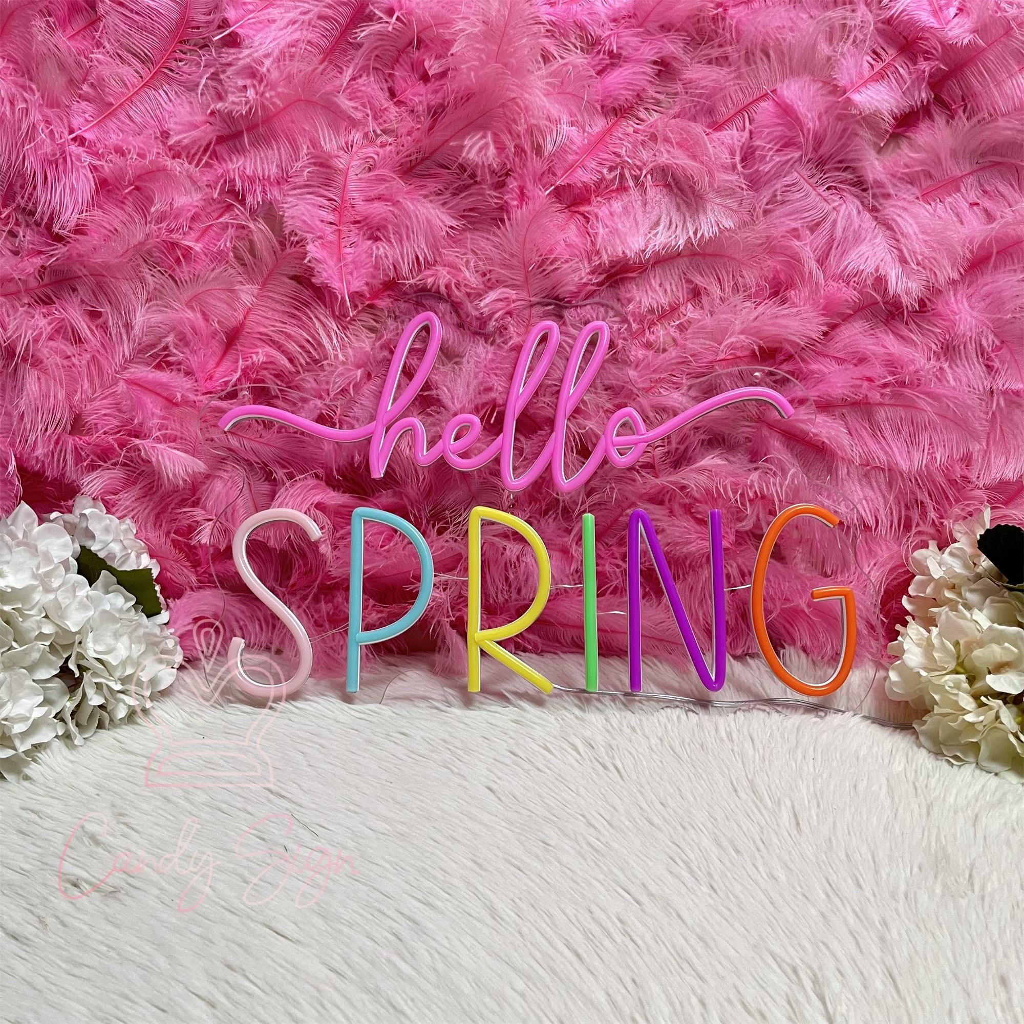 Hello Spring Neon Sign, Custom Spring Home Decor Led Neon Light, Spring ...