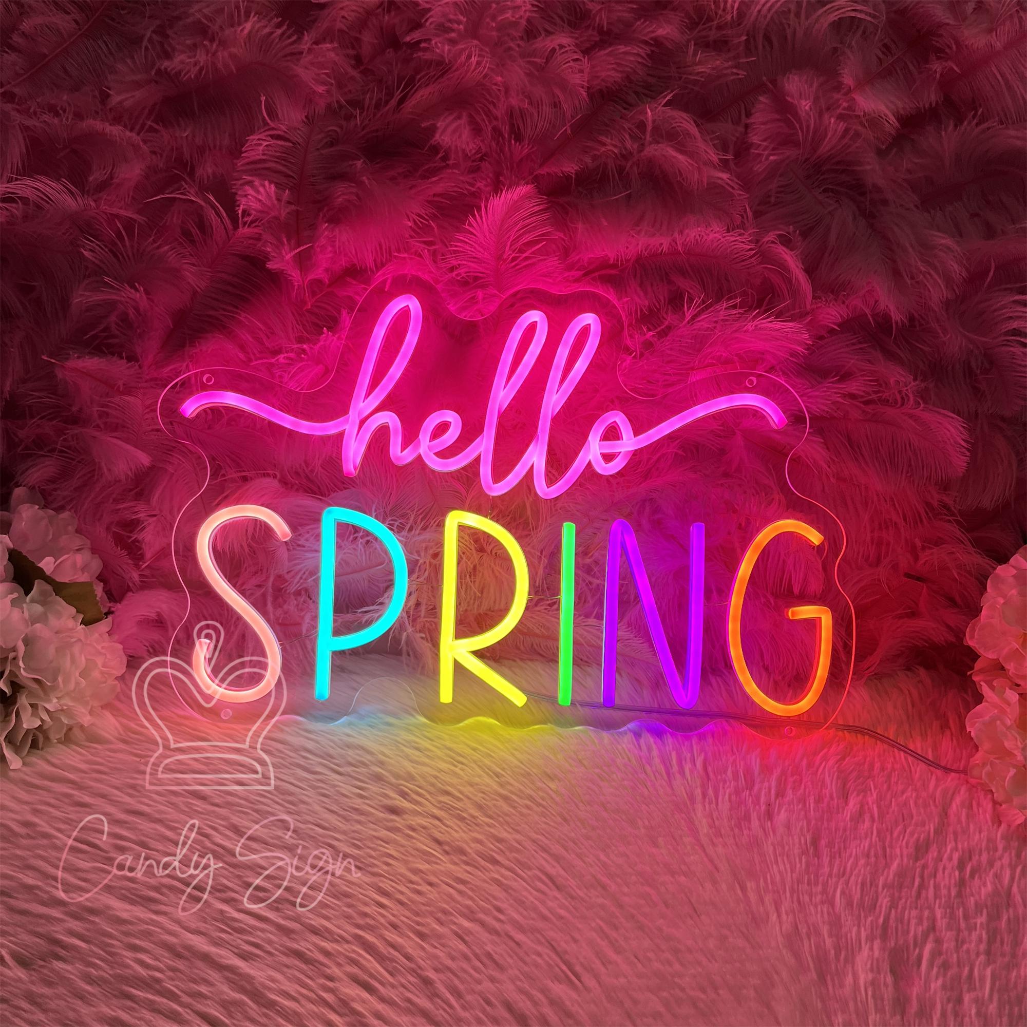 Hello Spring Neon Sign, Custom Spring Home Decor Led Neon Light, Spring ...