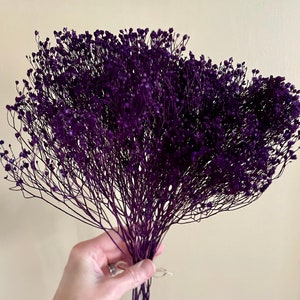 Dark Purple Gypsophila, Fall Dried Flowers, Dried Baby's Breath, Flower bunch, Gypsophila, Flower Decor, Dried Flowers, Home Decorating