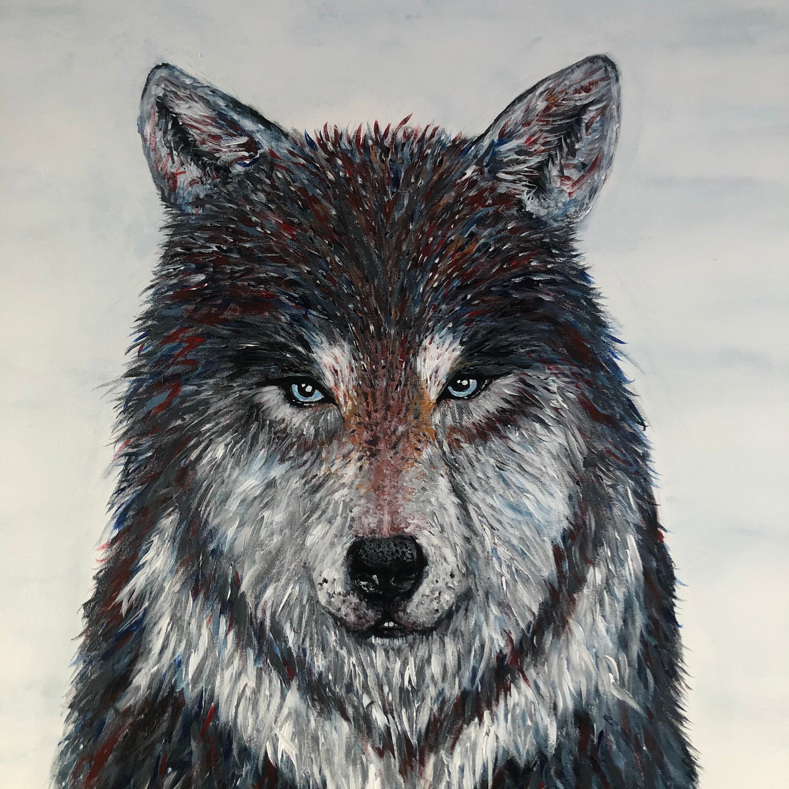 ORIGINAL Canadian Gray Wolf Painting Acrylic on Canvas Etsy