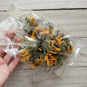 以下が含まれることがあります： 黄色と緑色の乾燥した花が入った透明なビニール袋。花は層状の花びらの構造をしており、さまざまな開花段階にあります。袋は手で持たれており、背景は明るい色の木製の表面です。