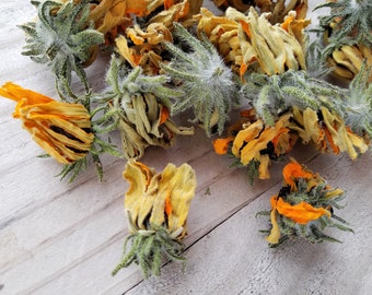 Rudbeckia seca, material vegetal para teñir de forma natural