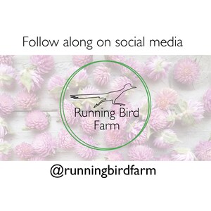 以下が含まれることがあります： 「Follow along on social media」のテキストと、鳥のシルエットが入った緑色の円であるRunning Bird Farmのロゴが入った画像。背景には、白い木の表面にピンクの花が咲いています。ハンドルは@runningbirdfarmです。