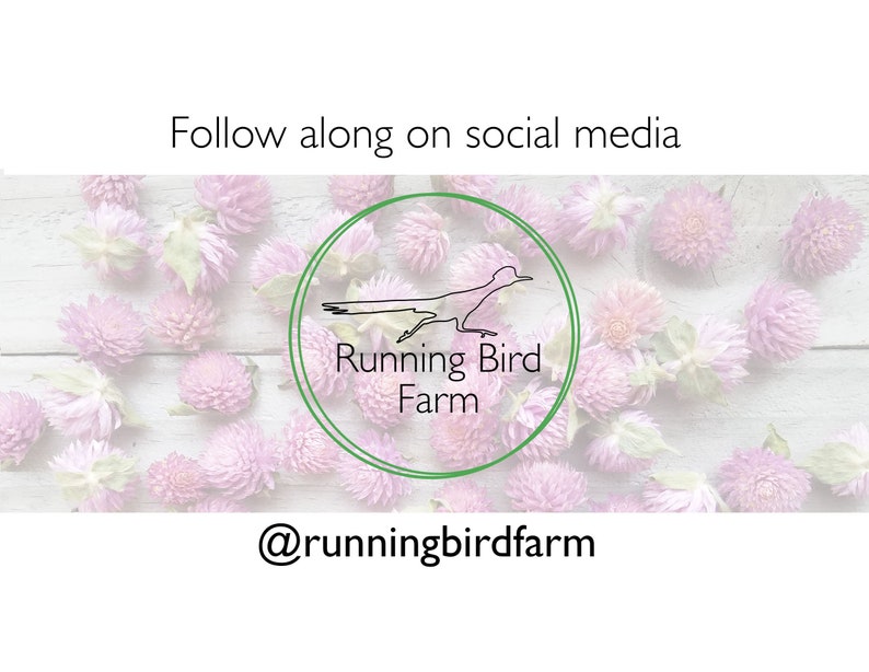 以下が含まれることがあります： 「Follow along on social media」のテキストと、鳥のシルエットが入った緑色の円であるRunning Bird Farmのロゴが入った画像。背景には、白い木の表面にピンクの花が咲いています。ハンドルは@runningbirdfarmです。