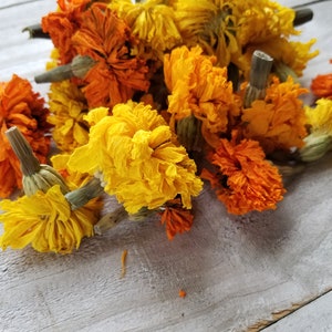 Puede incluir: Una colecci&oacute;n de flores de cal&eacute;ndula secas en tonos naranja y amarillo. Las flores est&aacute;n dispuestas sobre una superficie de madera clara.