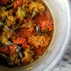 Puede incluir: Una olla de metal llena de agua y flores de cal&eacute;ndula naranja y amarilla. Las flores est&aacute;n sumergidas en el agua y est&aacute;n empezando a liberar su color.