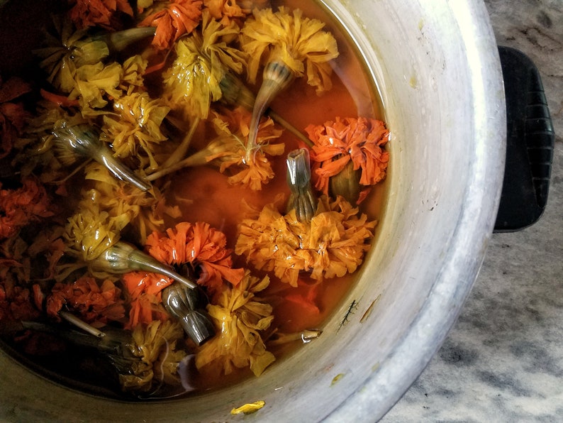 Puede incluir: Una olla de metal llena de agua y flores de cal&eacute;ndula naranja y amarilla. Las flores est&aacute;n sumergidas en el agua y est&aacute;n empezando a liberar su color.
