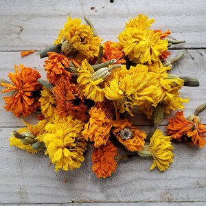 Puede incluir: Un mont&oacute;n de flores de cal&eacute;ndula secas en tonos naranja y amarillo, con algunos tallos todav&iacute;a unidos, sobre un fondo de madera blanca.