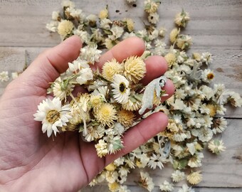 Mixed Flower Confetti, White Flowers