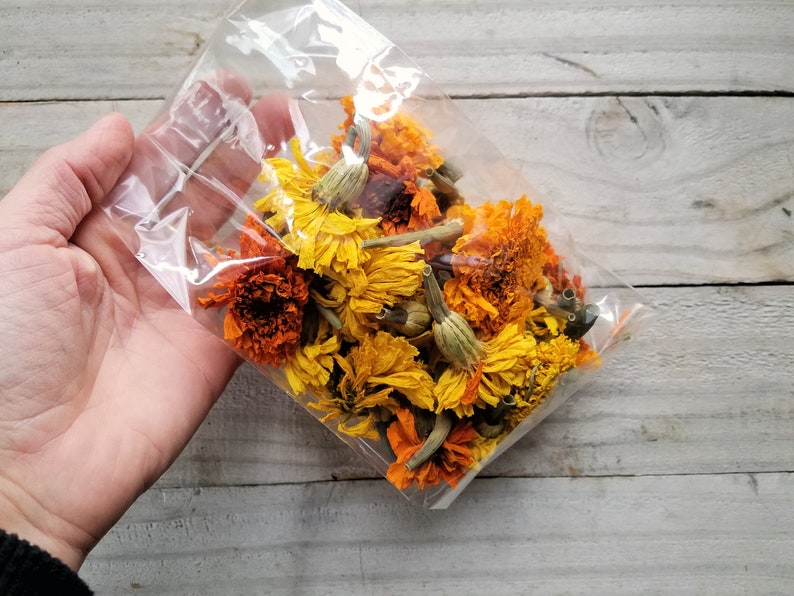 Puede incluir: Una bolsa de pl&aacute;stico llena de flores de cal&eacute;ndula secas de color naranja y amarillo.