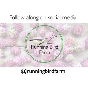 Puede incluir: Un c&iacute;rculo verde con un contorno blanco contiene un dibujo lineal de un p&aacute;jaro correcaminos con el texto "Running Bird Farm". El c&iacute;rculo est&aacute; sobre un fondo blanco con flores rosas esparcidas a su alrededor. El texto "@runningbirdfarm" est&aacute; debajo del c&iacute;rculo.