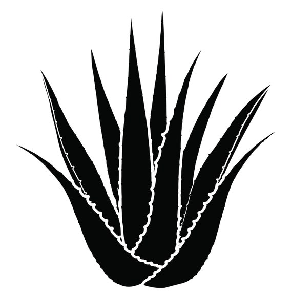 Aloe Vera Digital Clip Art Tshirt Designs Aloe Vera Etsy UK
