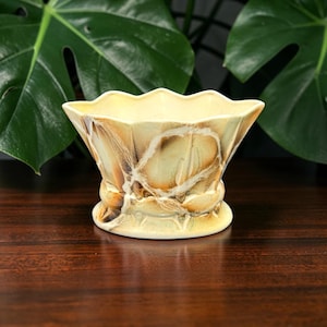May include: A ceramic bowl featuring a scalloped rim and a flared base. The exterior surface displays a marbled glaze pattern in shades of cream, tan, and dark brown, creating a swirling effect across the curved body of the vessel.