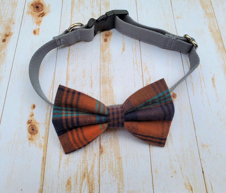 May include: A gray dog collar with a plaid bow tie in shades of orange, blue, and black.