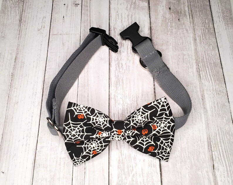 May include: A grey adjustable dog collar with a black and white bow tie featuring a spiderweb and orange pumpkin pattern.