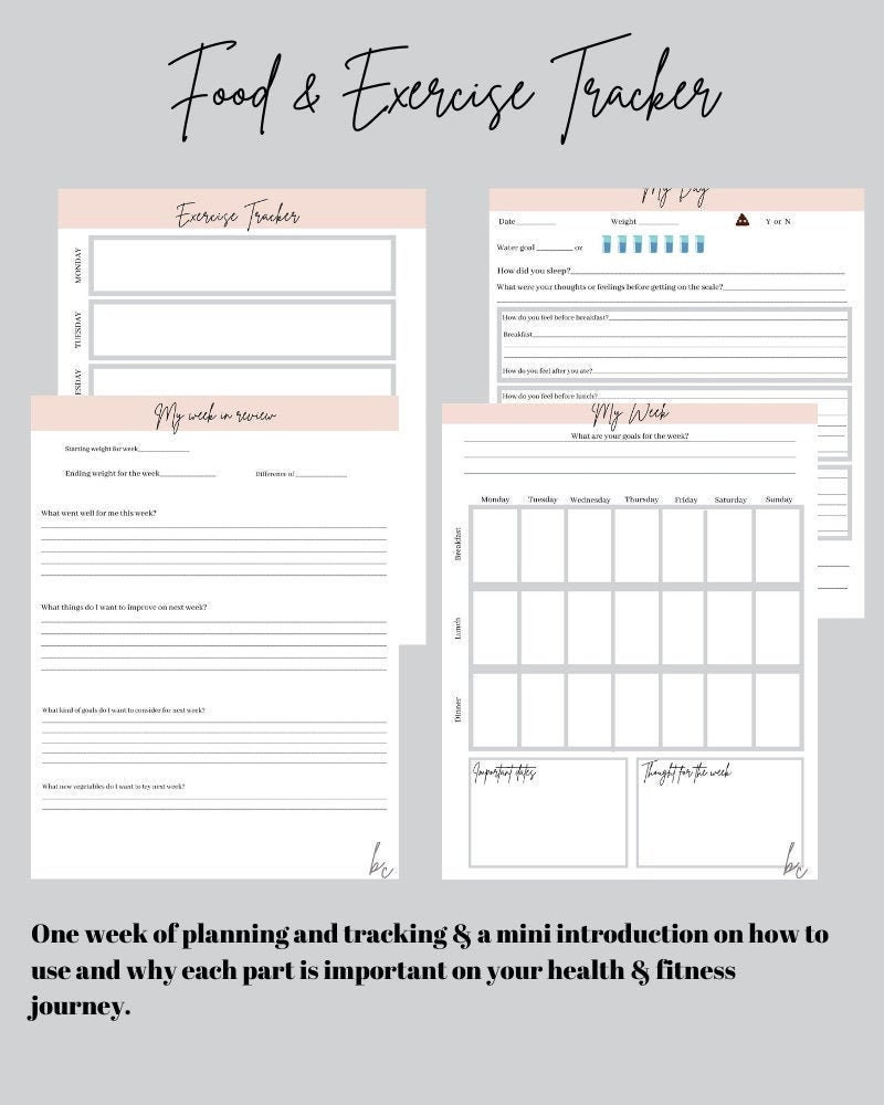2b Mindset Tracker - Etsy