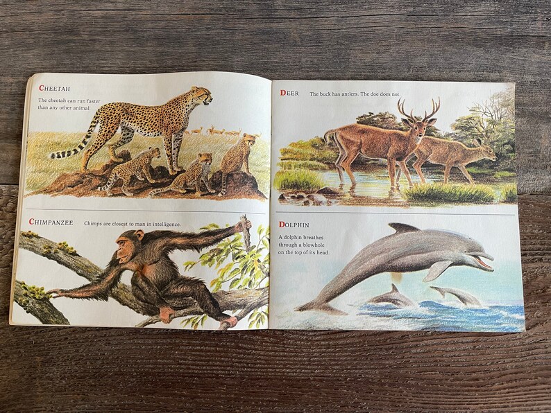 Wild Animals Book: Arthur Singer, 1973 - Etsy