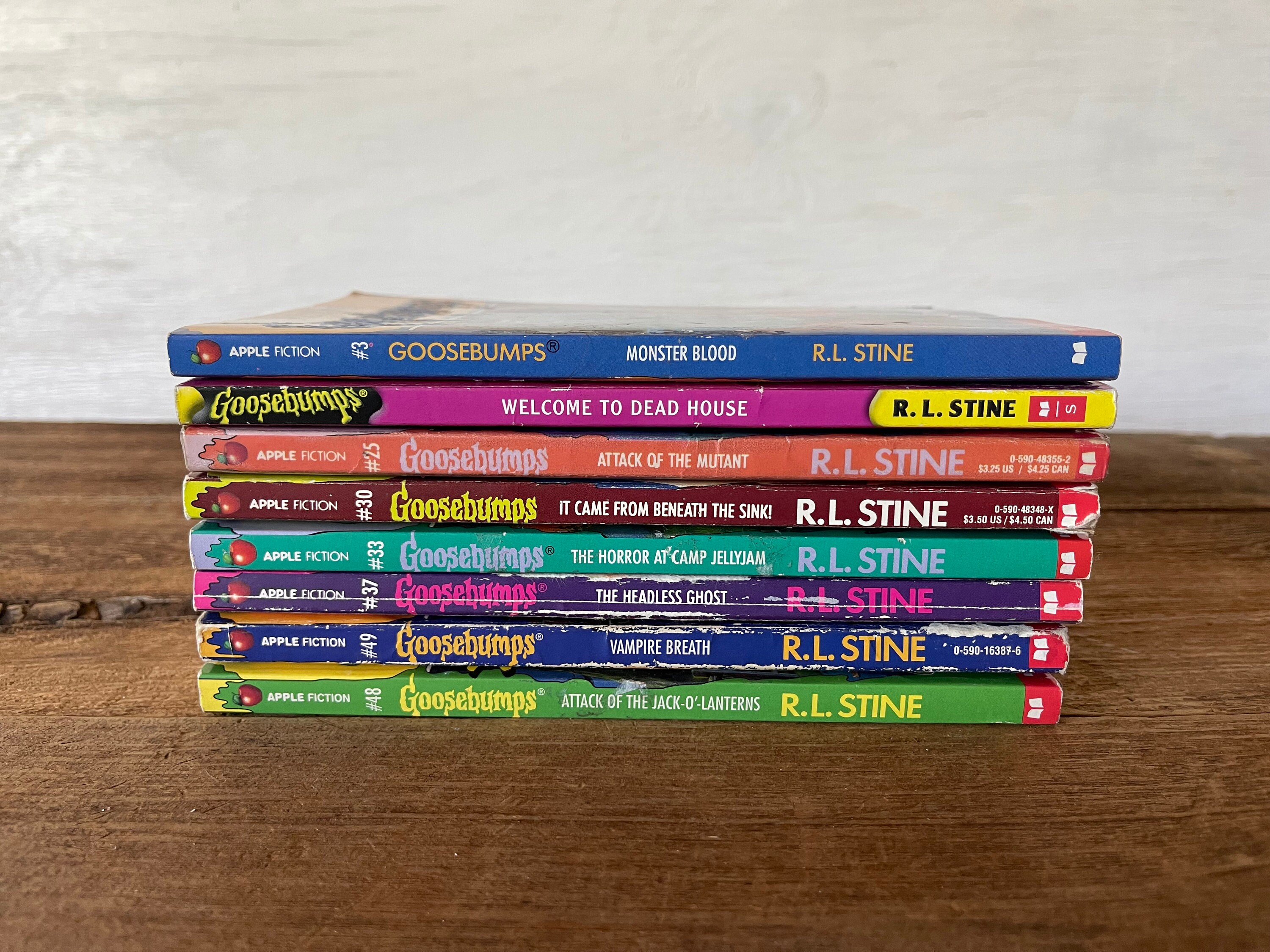 1990年代のグースバンプス・ブックス // あなたが選ぶ // R.L.