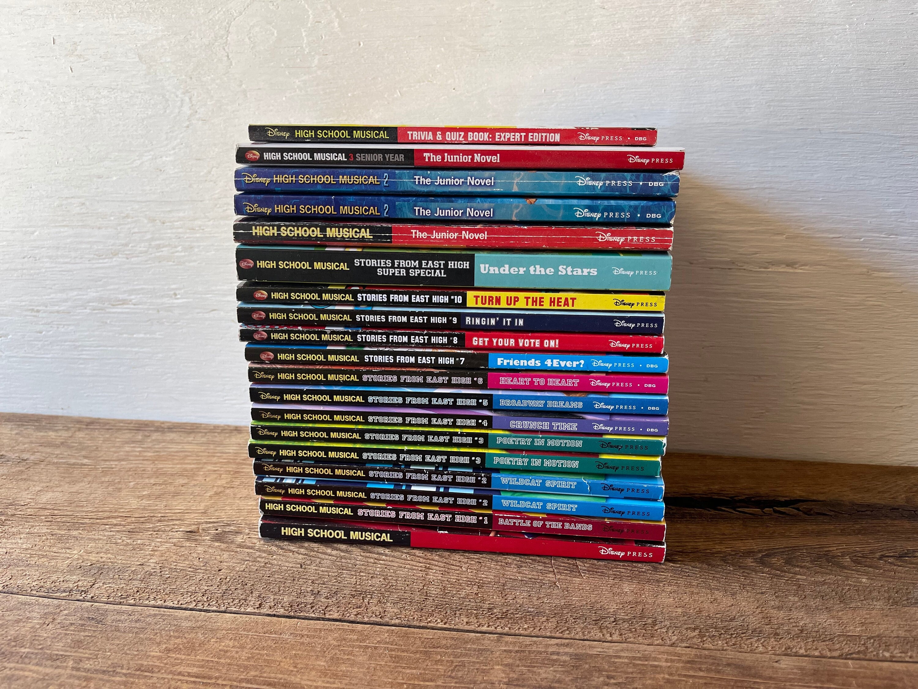 High School Musical Books // You Choose // Based on Disney