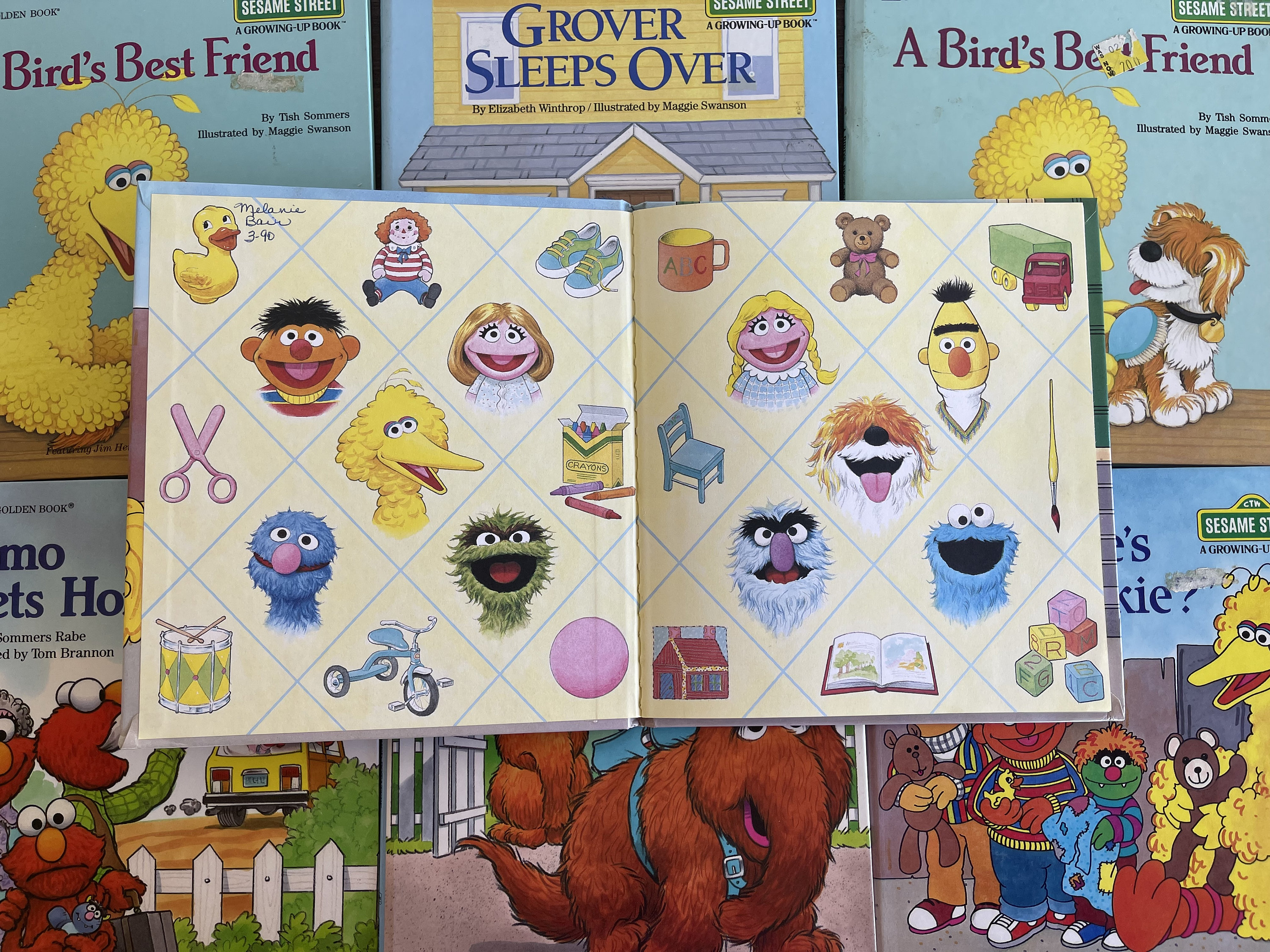 Hardcover Sesame Street Books // You Choose // Hardcover Golden Book // A Growing-Up Book