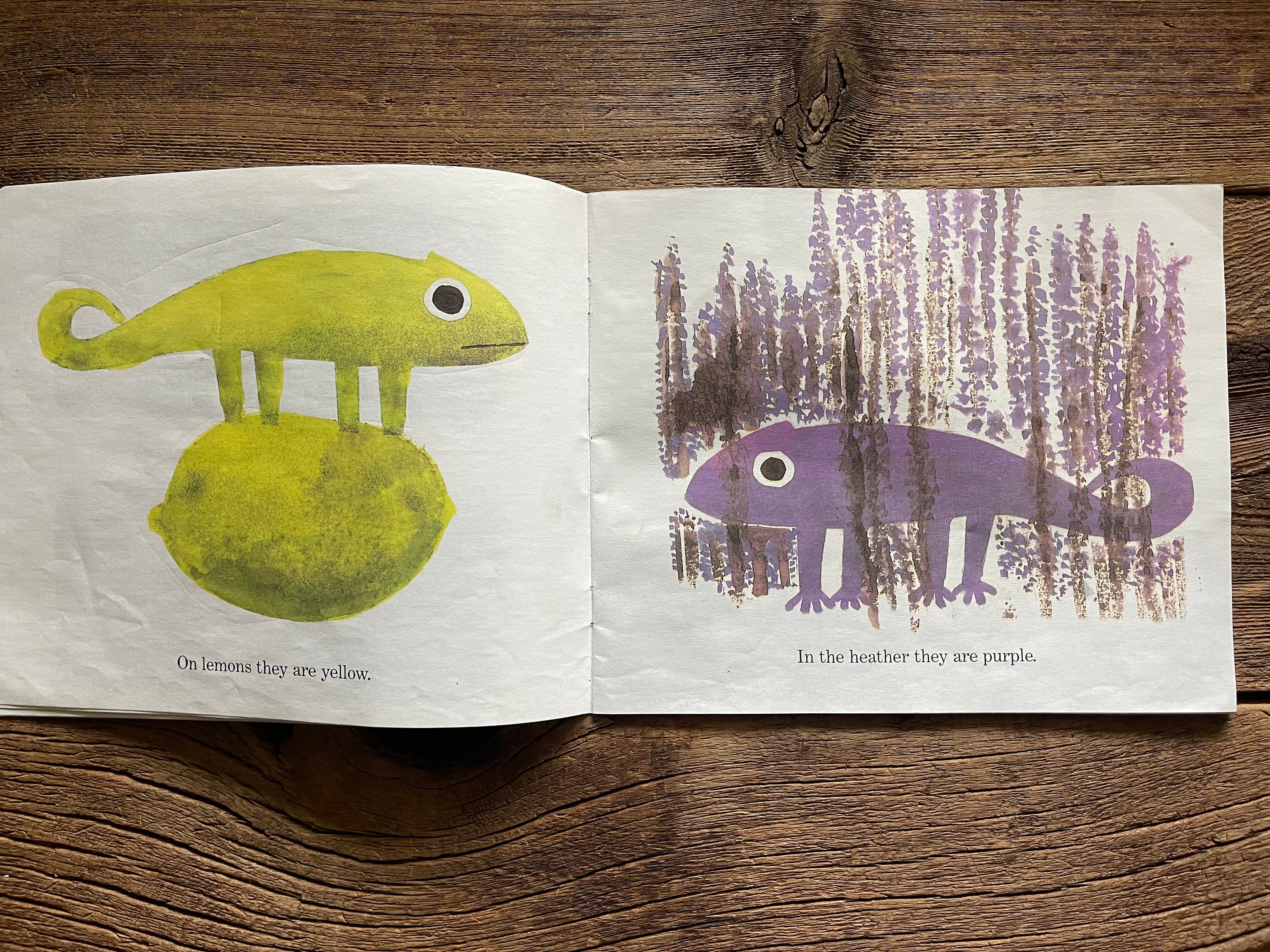 A Color of His Own // Leo Lionni // Vintage Book and Cassette Tape Set ...