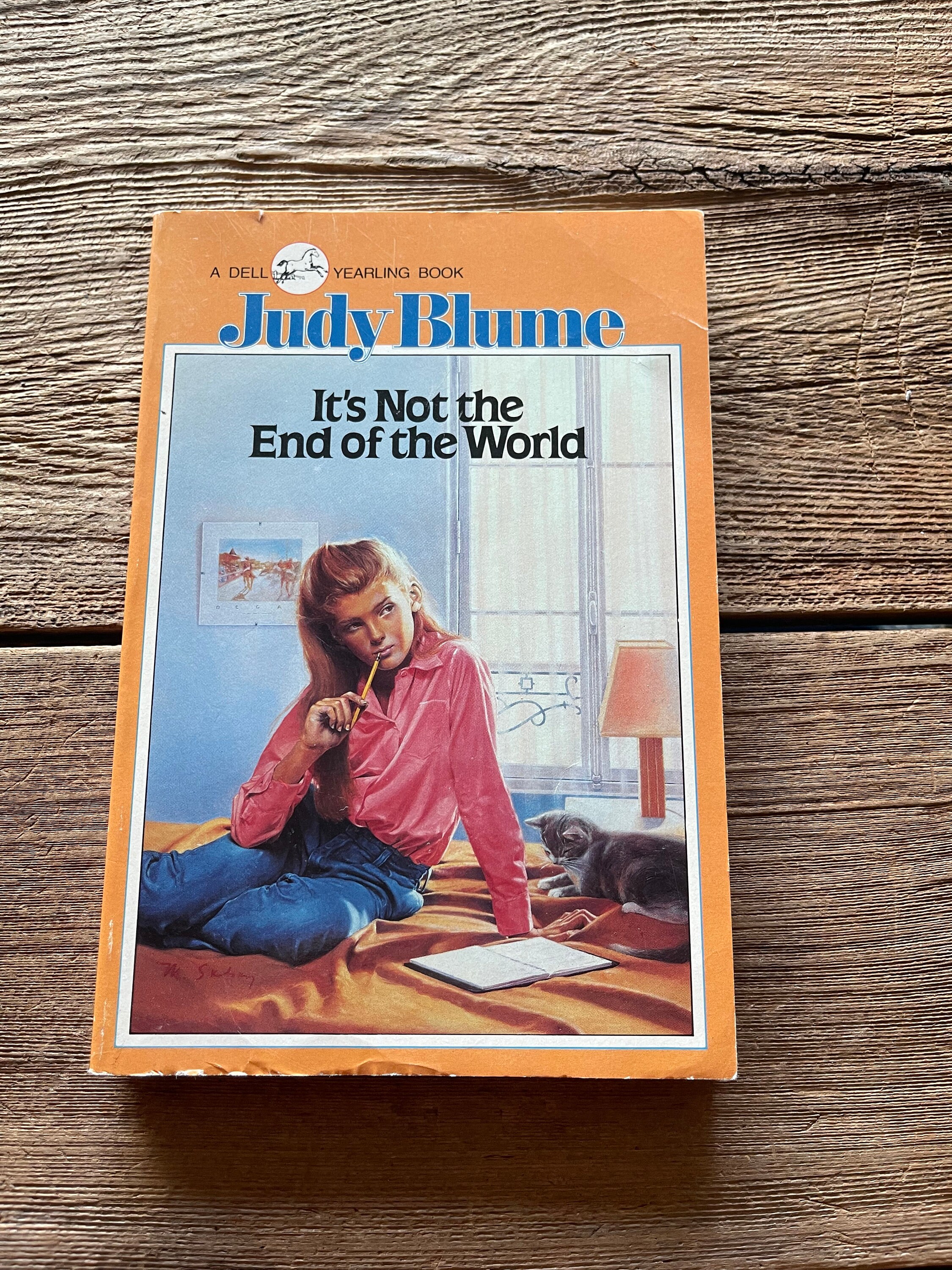 Vintage Judy Blume Books: 1980s Superfudge, Blubber, Tales of