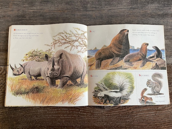 Wild Animals Book: Arthur Singer, 1973 - Etsy