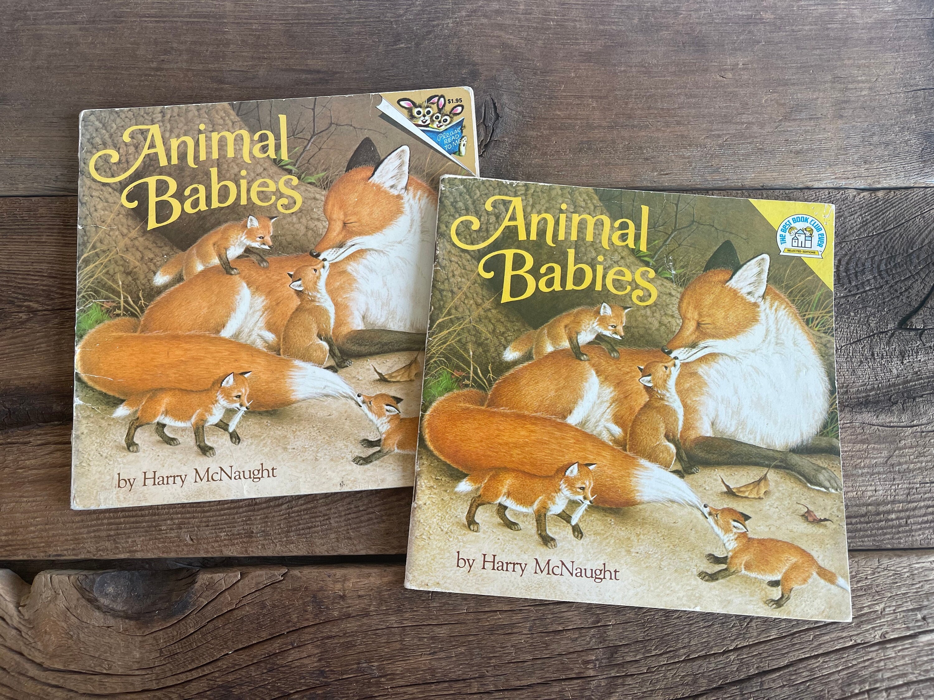 Animal Babies Book // Harry Mcnaught // Please Read to Me // Etsy