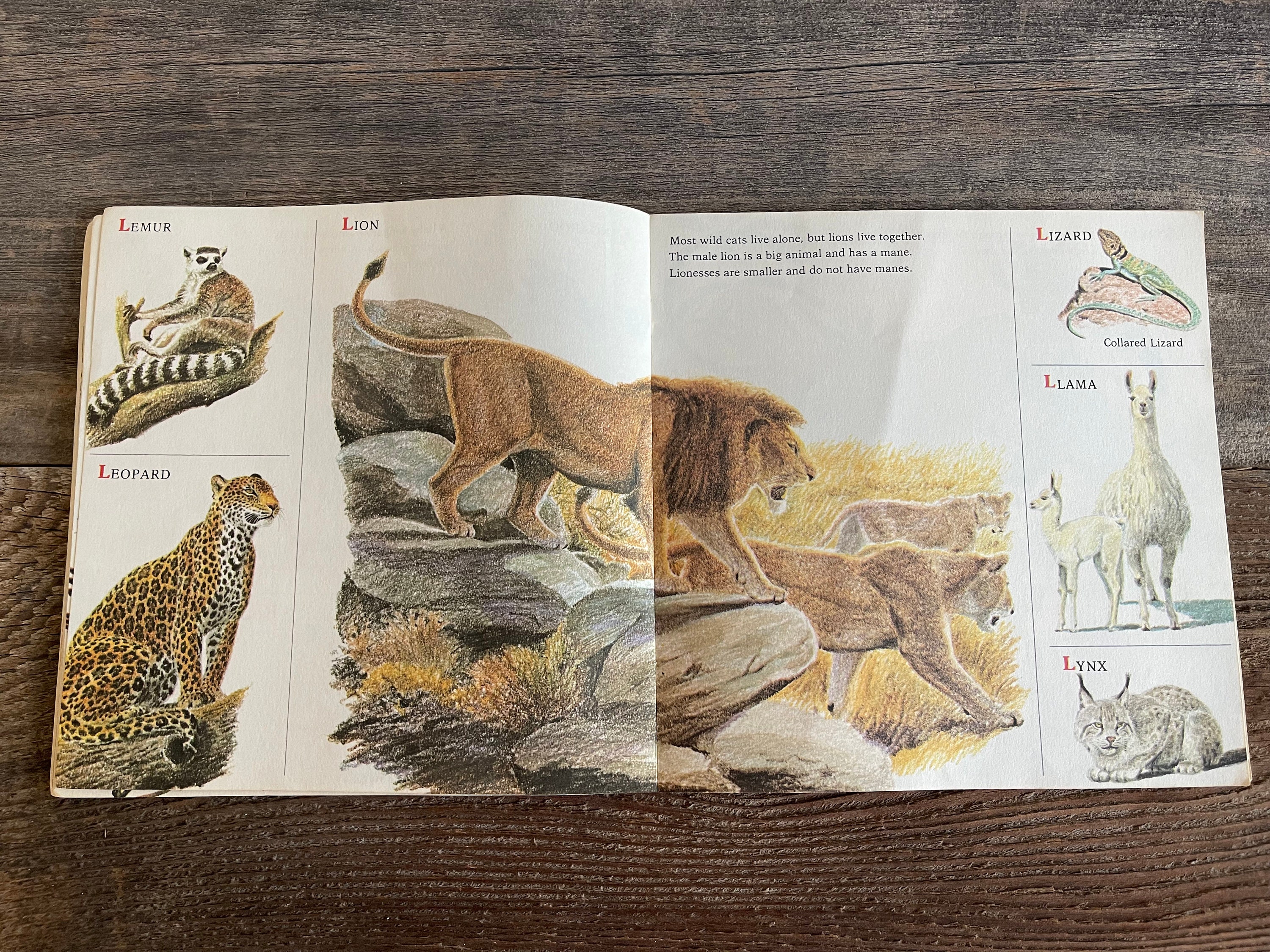 Wild Animals Book: Arthur Singer, 1973 - Etsy