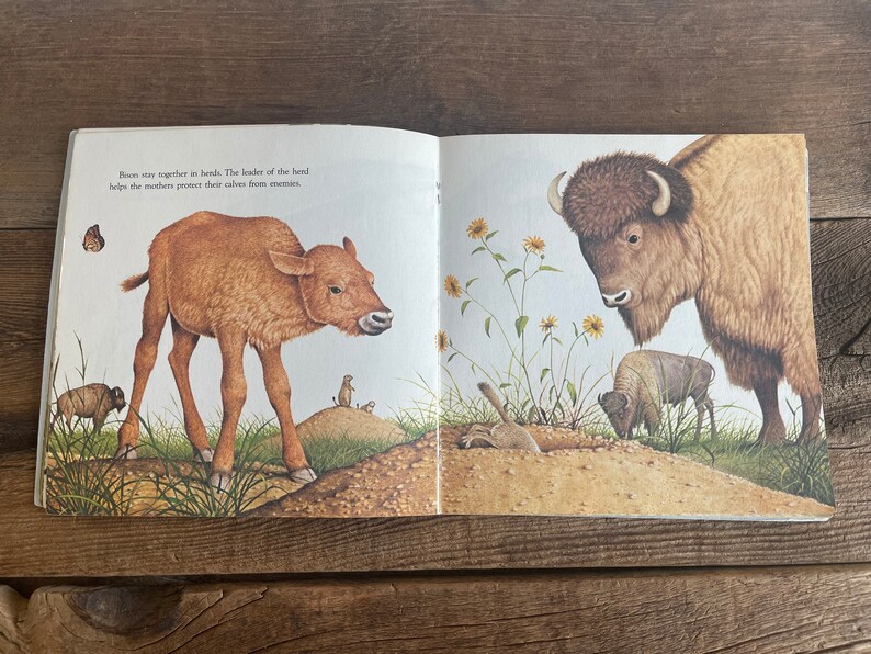 Animal Babies Book // Harry Mcnaught // Please Read to Me // Etsy